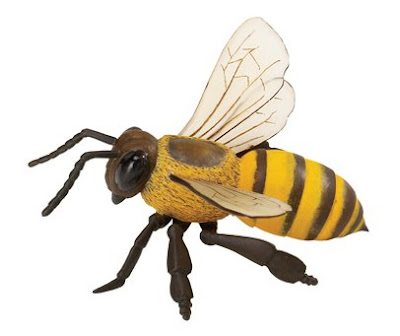 Včela medonosná model